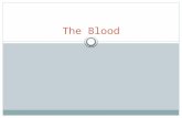 The Blood. Blood Liquid connective tissue Hemotology: study of blood, flood forming tissues, and associated disorders.