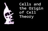 Cells and the Origin of Cell Theory. History of the Cell Theory Before microscopes, belief in supernatural causes of diseases Could not see microorganisms.