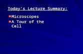 Today’s Lecture Summary: Microscopes A Tour of the Cell.