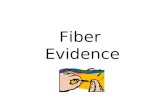 Fiber Evidence. Fibers   Are common trace evidence at a crime scene  Can be characterized based on comparison of both physical and chemical properties.