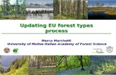 Updating EU forest types process Marco Marchetti University of Molise-Italian Academy of Forest Science.