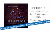 LECTURE 1 Introduction to DNA and RNA (Chapter 09) 1.