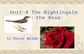 Unit 4 The Nightingale and the Rose by Oscar Wilde.