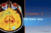 Chapter 5 The Human Body. National EMS Education Standard Competencies  Anatomy and Physiology  Applies fundamental knowledge of the anatomy and function.