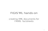 1 FIGIS’ML hands-on creating XML documents for FIRMS factsheets.