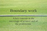 A key concept in the sociology of science and of the professions Boundary work.