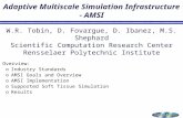 Adaptive Multiscale Simulation Infrastructure - AMSI  Overview: o Industry Standards o AMSI Goals and Overview o AMSI Implementation o Supported Soft.