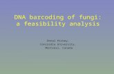 DNA barcoding of fungi: a feasibility analysis Donal Hickey, Concordia University, Montreal, Canada.