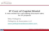 Questions: TC-Questions@BVResources.com IP Cost of Capital Model A new model for calculating discount rates for IP projects Mike Pellegrino Pellegrino.