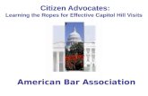 Citizen Advocates: Learning the Ropes for Effective Capitol Hill Visits American Bar Association.