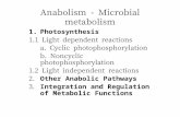 Anabolism - Microbial metabolism 1.Photosynthesis 1.1 Light dependent reactions a. Cyclic photophosphorylation b. Noncyclic photophosphorylation 1.2 Light.