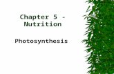 Chapter 5 - Nutrition Photosynthesis Autotrophic Nutrition  - Organisms manufacture organic compounds (C 6 H 12 O 6 ) from inorganic raw materials.(CO.