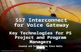 1 © 2001, Cisco Systems, Inc. Technology Overview - Voice Gateway SS7 Interconnect for Voice Gateway Key Technologies for PS Project and Program Managers.