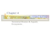 Chapter 4 Terrestrial Biomes & Aquatic Ecosystems