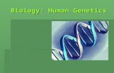 Biology: Human Genetics. Autosomal (body cells) Dominant Inheritance   Dominant gene located on 1 of the “regular cells”   Letters used are upper.