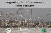 Integrating Bird Conservation into INRMPs Chris Eberly DoD Partners in Flight 9.19.12.