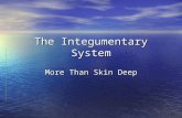 The Integumentary System More Than Skin Deep. TAKS TAKS Objective 2 – The student will demonstrate an understanding of living systems and the environment.