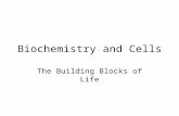 Biochemistry and Cells The Building Blocks of Life.