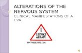 ALTERATIONS OF THE NERVOUS SYSTEM CLINICAL MANIFESTATIONS OF A CVA.