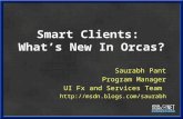 Smart Clients: What’s New In Orcas? Saurabh Pant Program Manager UI Fx and Services Team .