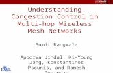 Embedded Networks Laboratory Understanding Congestion Control in Multi-hop Wireless Mesh Networks Sumit Rangwala Apoorva Jindal, Ki-Young Jang, Konstantinos.