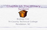 Chapter 15 The Urinary System Biology 112 Tri-County Technical College Pendleton, SC.