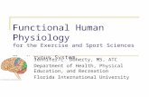 Functional Human Physiology for the Exercise and Sport Sciences The Nervous System Jennifer L. Doherty, MS, ATC Department of Health, Physical Education,