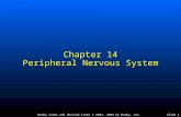 Mosby items and derived items © 2007, 2003 by Mosby, Inc.Slide 1 Chapter 14 Peripheral Nervous System.