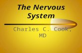 The Nervous System Charles C. Cook, MD Divisions of the Nervous System.