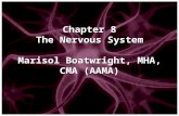 Chapter 8 The Nervous System Marisol Boatwright, MHA, CMA (AAMA)
