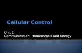 Cellular Control Unit 1 Communication, Homeostasis and Energy.
