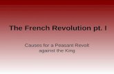 The French Revolution pt. I Causes for a Peasant Revolt against the King.