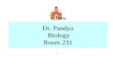 Dr. Pandya Biology Room 231.. . Dr. Pandya Biology Rm. 231 Syllabus: Take 5 minutes to read over carefully. Prefix Suf Quiz tomorrow. All words have been.