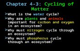 Chapter 4-3: Cycling of Matter  What is the water cycle?  Why are plants and animals important for carbon and oxygen in an ecosystem?  Why must nitrogen.