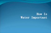 How Do People Use Water? Water is used for Household Uses Agriculture (farming) Industry (factories) Transportation Recreation (fun!!!)