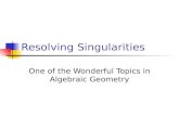 Resolving Singularities One of the Wonderful Topics in Algebraic Geometry.