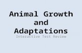 Animal Growth and Adaptations Interactive Test Review.