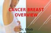 CANCER BREAST OVERVIEW Dr. Ehab M.Oraby. INTRODUCTION  Breast is a modified sweat gland between skin and pectoral fascia.
