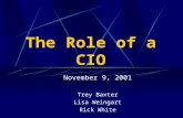 November 9, 2001 Trey Baxter Lisa Weingart Rick White The Role of a CIO.