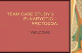 TEAM CASE STUDY 3. EUKARYOTIC – PROTOZOA. WELCOME.