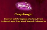 Download from  Antifungal Agent from Merck Research Laboratories Caspofungin Discovery and Development of a Novel, Potent.