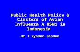 Public Health Policy & Clusters of Avian Influenza A H5N1 in Indonesia Dr I Nyoman Kandun.