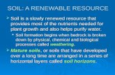 SOIL: A RENEWABLE RESOURCE  Soil is a slowly renewed resource that provides most of the nutrients needed for plant growth and also helps purify water.