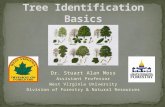 Dr. Stuart Alan Moss Assistant Professor West Virginia University Division of Forestry & Natural Resources