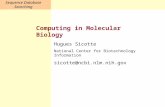 Sequence Database Searching Computing in Molecular Biology Hugues Sicotte National Center for Biotechnology Information sicotte@ncbi.nlm.nih.gov.