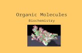 Organic Molecules Biochemistry Organic Molecule Is a hydrocarbon Carbon bonds to hydrogen Simplest hydrocarbon is when 4 hydrogen atoms bond to one carbon.