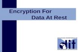 Click to add text Encryption For Data At Rest. State of Michigan Department of Information Technology 2 From Vision to Action 2 Why is data-at-rest encryption.