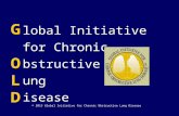 Lobal Initiative for Chronic bstructive ung isease GOLDGOLD GOLDGOLD © 2013 Global Initiative for Chronic Obstructive Lung Disease.