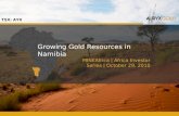 Growing Gold Resources in Namibia | MINEAfrica | Africa Investor Series | October 29, 2010 TSX: AYX Growing Gold Resources in Namibia.
