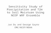 Sensitivity Study of Precipitation and T2m to Soil Moisture Using NCEP WRF Ensemble Jun Du and George Gayno EMC/NCEP/NOAA.